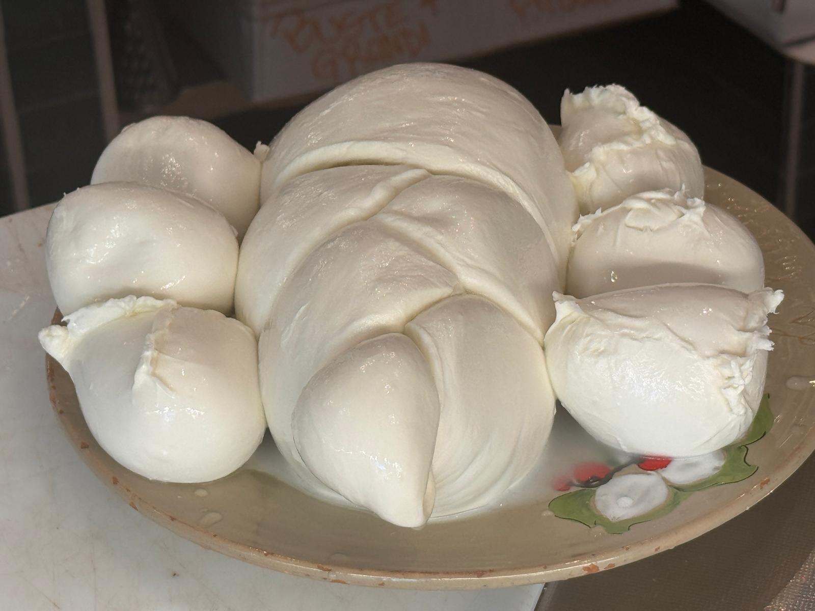Treccia e mozzarelle di bufala